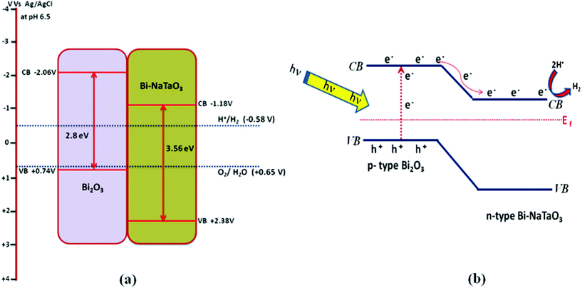 (a) Represents the band edge positions of p-type Bi2O3 and n-type Bi–NaTaO3 calculated at pH 6.5 vs. Ag/AgCl. (b) Represents the charge transfer processes at the Bi2O3/Bi–NaTaO3 composite interface for photocatalytic hydrogen production under visible light irradiation (λ ≥ 400 nm).