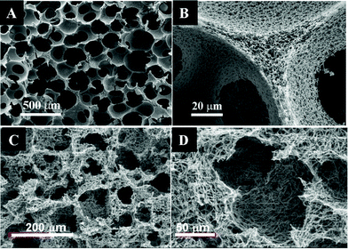 PLLA nanofibrous scaffolds produced by phase separation followed with particles bleaching; A and B are SEM images of the scaffolds from sugar spheres bleaching and C and D are from salt particles bleaching. (A and B are modified from ref. 119 and C and D form ref. 120, with permission).