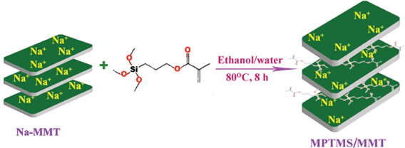 Proposed reaction scheme for the preparation of MPTMS/MMT.