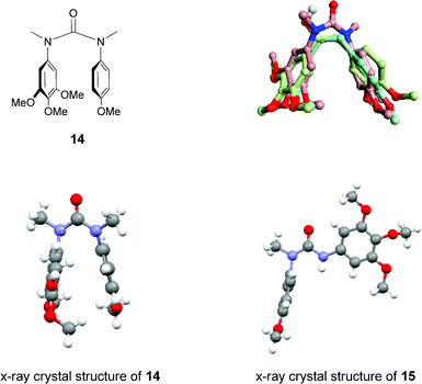 The structure of the urea–combretastatin hybrid, 14 (top left); the X-ray crystal structures of 14 and 15 (bottom, showing the (cis, cis)- and (cis, trans)-conformations);29 and the superposition of combretastatin A-4 (1, pale blue), combretastatin (3, green) and 14 (pink) (top right).30