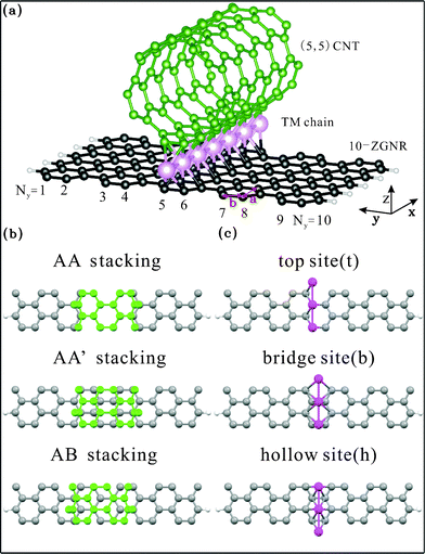 (a) (5,5) CNT on a 10-ZGNR coupled by a linear TM chain. Three stacked configurations (b) and three adsorption sites (c) are considered.