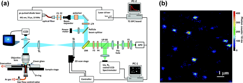 (a) Experimental setup used for single-molecule spectroscopy. F1: bandpass filter; F2: neutral density filter; F3: longpass filter; F4: notch filter; F5: shortpass filter; DM: dichroic mirror; SL: scan lens (f = 180 mm); TL: tube lens (f = 180 mm); UP-BS: unpolarized beam splitter; PC: personal computer. (b) Fluorescence image of BPEA in a Zeonex film.