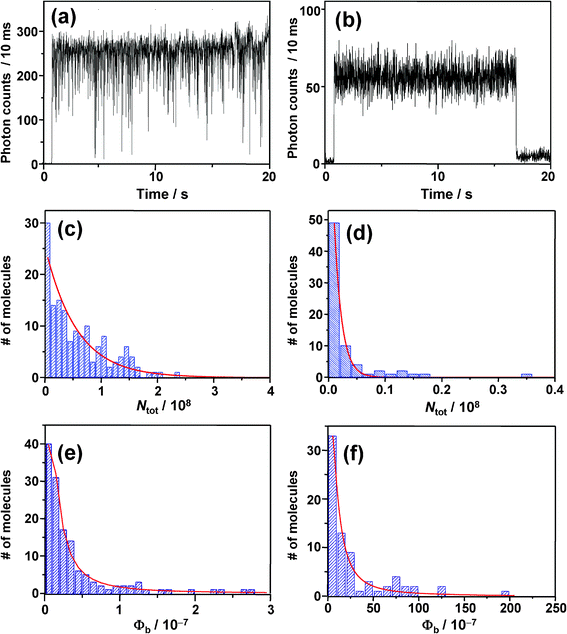 (a) and (b) Fluorescence intensity trajectories; (c) and (d) total number of photons emitted by single molecules and; (e) and (f) photobleaching quantum yields, obtained under Ar atmosphere (a, c, e) on left side and in air on right side (b, d, f).