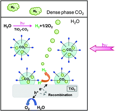 Illustration of the reaction medium including TiO2 powder, SDS surfactant, and dense phase CO2. The properties of TiO2 photocatalyst may be modified by the accumulation of CO2 molecules on its surface assisted by the surfactant.