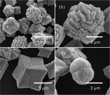 SEM images of CdO micro/nanostructures after heating the CdCO3 microcrystals, synthesized with a 3 : 7 volume ratios of EG and water, at 500 °C for 1 h in air.