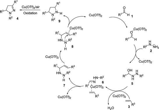 Proposed mechanism.