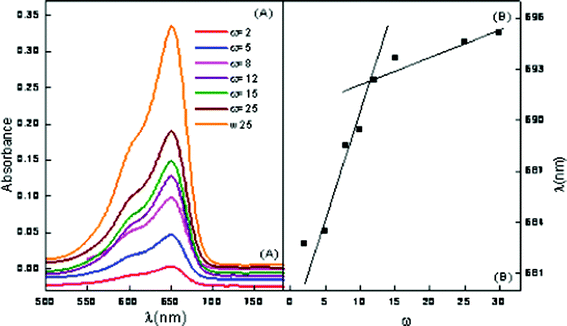 Vis absorption spectra of ME-I (A) variation of ω in the presence of 2 mM hp-β-CD (B) wavelength of maximum absorption vs. ω.