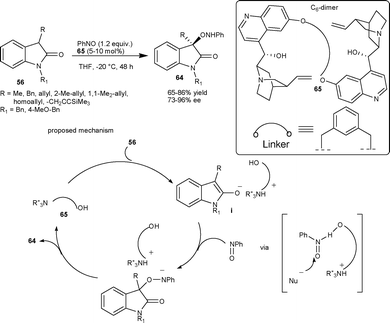 Aminooxygenation of oxindoles.