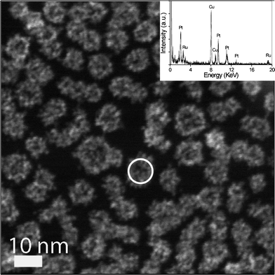 STEM image of electrostatic interaction based hPt–Ru assemblies at a Pt/Ru molar ratio of 1 : 1. Inset is the EDX analysis of an arbitrary assembled particle circled in the STEM image.