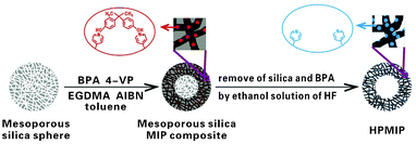 Fabrication of HPMIP.