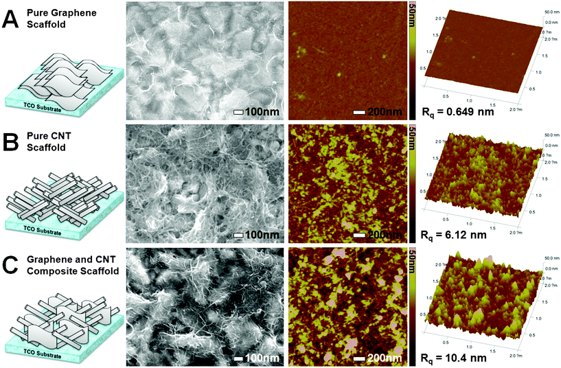 Surface SEM, AFM images, and 3D surface AFM images of the pure graphene (A), CNT (B), and graphene–CNT composite (C) scaffold deposited on TCO substrate. 2D and 3D surface AFM images were taken from the same area (2 × 2 μm2).