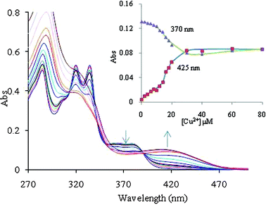 The effect of an incremental addition of Cu2+ ions on the absorption spectrum of 2 (10 μM) at pH 7.0 ± 0.1 (10 mM HEPES in CH3CN : H2O 4 : 1, v : v). The inset shows spectral fitting of the absorbance data at 370 nm and 425 nm for chemosensor 2 on addition of different concentrations of Cu2+ ions (the points are experimental values, the line shows the curve fitting).