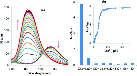 (a) Effect of incremental addition of Zn2+ on the fluorescence spectrum (the inset shows spectral fitting of the fluorescence data at 480 and 585 nm). (b) Plot of fluorescence intensity ratio (FI480/FI585) vs. [Zn2+] ions (the inset shows the ratiometric emission response of 2 to different metals ions).