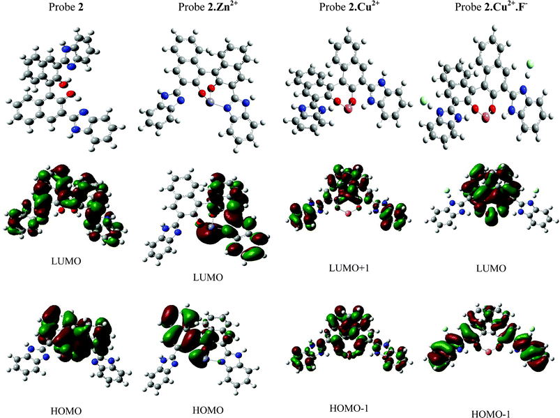 Theoretically optimized structures and molecular orbital diagram for probe 2 and their metal combinations.