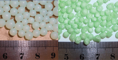 Nickel alginate wet beads (left) and freeze dried beads (right).