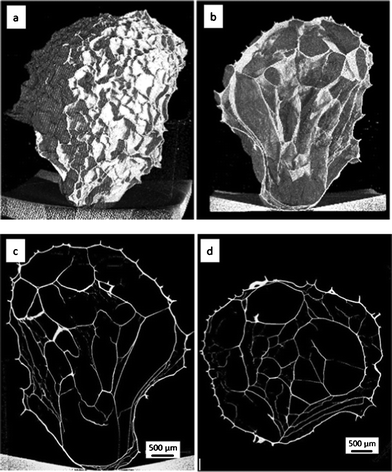 XMT images of the freeze dried nickel alginate bead: (a and b) 3D structure from outside and inside, (c and d) transverse and cross sections, respectively.