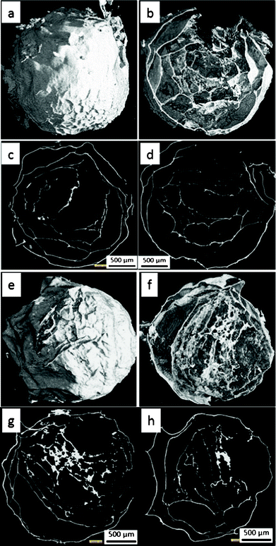 XMT images of two calcined beads: (a, b, e and f) 3D structure from outside and inside, (c, d, g and h) transverse and cross sections, respectively.