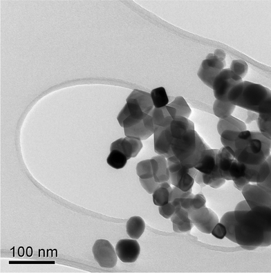 TEM image of NiO nanoparticles prepared by the calcinations of freeze dried nickel alginate beads at 700 °C.