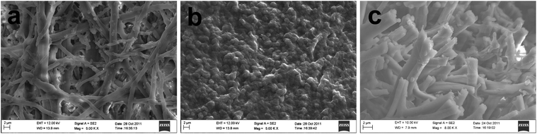 FESEM images of macroporous Pd catalyst network derived from ESM template: (a) front surface; (b) back surface; (c) cross-section.