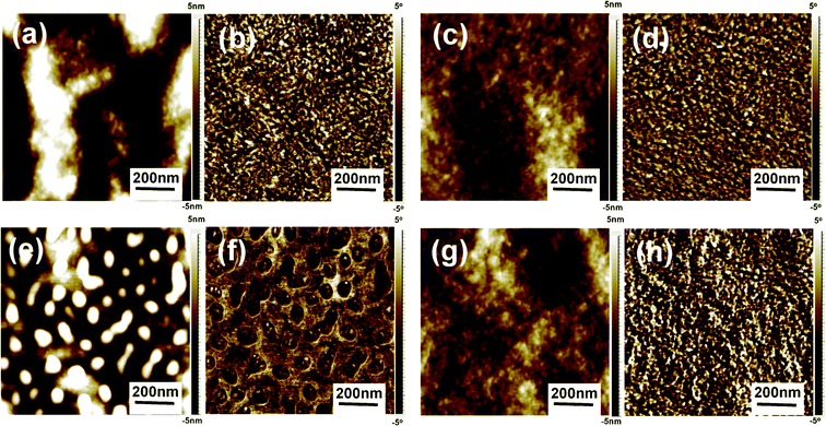 Tapping mode AFM topography (a, c, e, g) and phase (b, d, f, h) images of the composite films: pristine film with the top (a, b) and bottom surfaces (c, d), aqueous solution soaking treated film (CS2 0.13 wt%) with the top (e, f) and bottom surfaces (g, h).