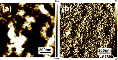 AFM topography (a) and phase (b) images of soaking treated P3HT/PCBM film after OT etching on the top surface.