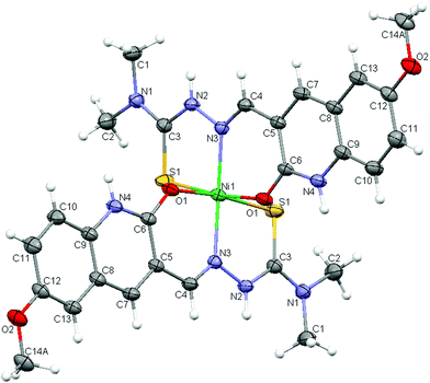 ORTEP style view of the nickel(ii) complex 5. The nitrate ion and water molecules have been omitted for clarity.