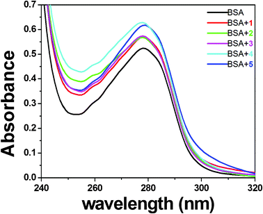 UV absorption spectra of BSA (10 μM) in the absence and presence (5 μM) of complexes 1 (A), 2 (B), 3 (C), 4 (D) and 5 (E).