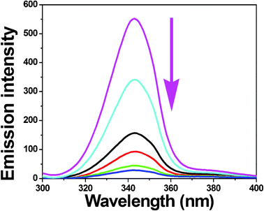 Synchronous spectra of BSA (1 μM) in the presence of increasing amounts of complex 4 (0–25 μM) for a wavelength difference of Δλ = 60 nm. The arrow shows the emission intensity changes upon increasing concentration of complex.