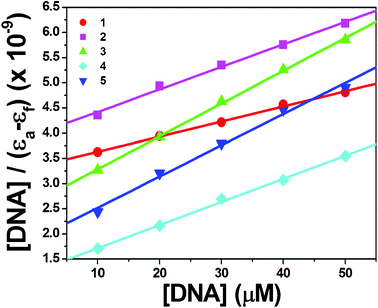 Plots of [DNA]/(εa − εf) vs. [DNA] for the nickel(ii) complexes 1–5 with CT-DNA.