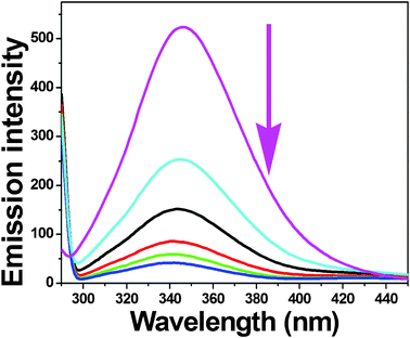 The emission spectrum of BSA (1 μM; λexc = 280 nm; λem = 346 nm) in the presence of increasing amounts of complex 4 (0–25 μM). The arrow shows the emission intensity changes upon increasing complex concentration.