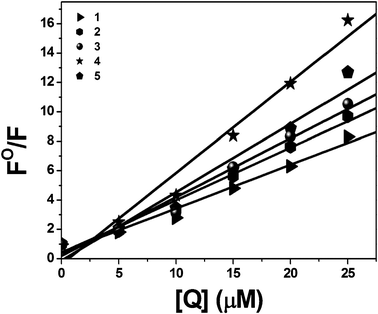 Stern–Volmer plot of BSA fluorescence titration for complexes 1–5.