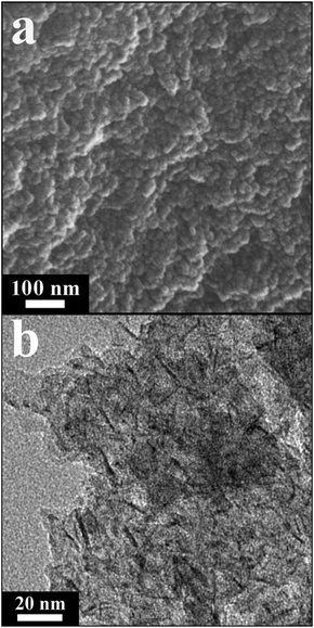 (a) SEM and (b) TEM images of representative 2.5NiAl-LDH/C.