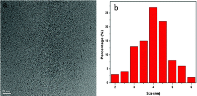 (a) TEM image and (b) corresponding particle size distribution histograms of C-dots.