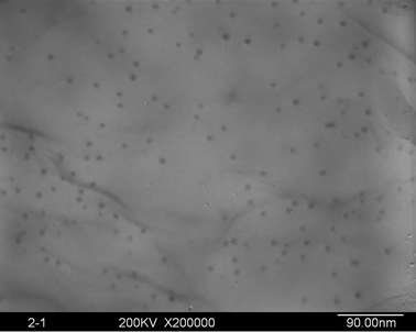 TEM image of the silver NPs in the hybrid films (silver content: 0.067 wt%).