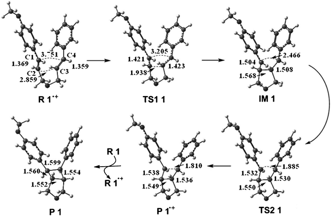 The key geometry changes in the intramolecular [2+2] cycloaddition of R 1·+ predicted by the B3LYP/6-31G(d,p) method. Bond lengths are given in angstroms.