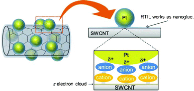 Schematic illustration of Pt–SWCNT composite material fabricated in this study.