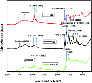 ATR-FTIR spectra of HA (red), G5-PAMAM (black) and G5-HA complex (green).