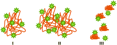 Schematic of complexation (I), aggregation (II) and re-stabilization (III) processes in dendrimer–HA interactions. Dendrimers are shown in green and HA in orange.