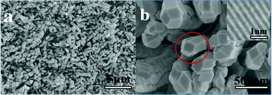 (a) The low resolution SEM image of the sample. (b) The local amplified image of the sample. Inset: corresponding HR-TEM image.