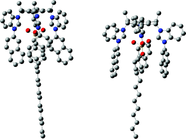 The optimized structures of 1 : 1 complexes of TRI-BINAP-1 with SDBS and SDS. For clarity the hydrogen atoms have been omitted.