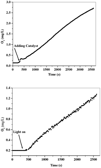 Water oxidation in an aqueous solution of 0.1 M Ce(iv) at 25.0 °C in the presence of nano-sized manganese oxide–BSA solution (top). Water oxidation in an aqueous solution of 0.2 mM [Ru(bpy)3]Cl2 at 25.0 °C in the presence of nano-sized manganese oxide–BSA film (bottom). In the presence of BSA, without manganese oxide, no oxygen was observed.