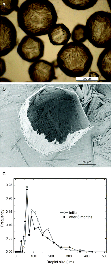 (a) Optical image of water-in-toluene droplets stabilized by interfacially-adsorbed octyl gallate microneedles. The needles grow in situ upon the addition of water to a toluene suspension containing 0.08 mol L−1 octyl gallate. (b) SEM image showing the faceted solid capsules obtained after drying the emulsion displayed in (a). (c) The time dependence of the droplet size distribution of a water-in-decalin emulsion stabilized by 0.08 mol L−1 octyl gallate.