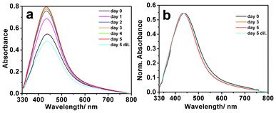 UV/Vis spectra (a, b) of Ag NP-pHA crystallizing medium, recorded for a sample from day 0 to day 5. (λmax: day 0: 439 nm; day 1: 435 nm; day 2: 435 nm; day 3: 434 nm; day 4: 434 nm; day 5: 434 nm; day 5 dil.: 438 nm). Spectra in panel (a) represent as-recorded data, while spectra in panel (b) represent data normalized to the value of maximum at the peak.