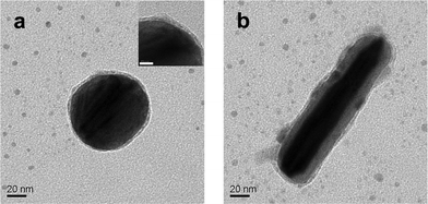 TEM images of Ag@pHA NPs: (a) spherical, and (b) rod-shaped. (Inset in (a) is its higher resolution image distinctly showing a thin pHA shell on the Ag NP; scale bar: 10 nm).