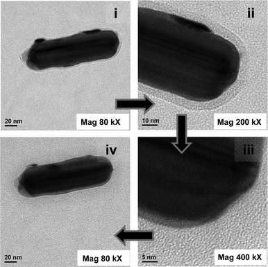 TEM images of an Ag@pHA NP at magnifications (i) 80 kX, (ii) 200 kX, (iii) 400 kX, and back to (iv) 80 kX.