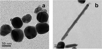 TEM images (a, b) showing the depositions/growth of pHA crystals over Ag NPs. The sample was collected from the medium prior to day 3 of evaporation.