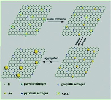 The proposed mechanism of gold formation on nitrogen-doped graphene.