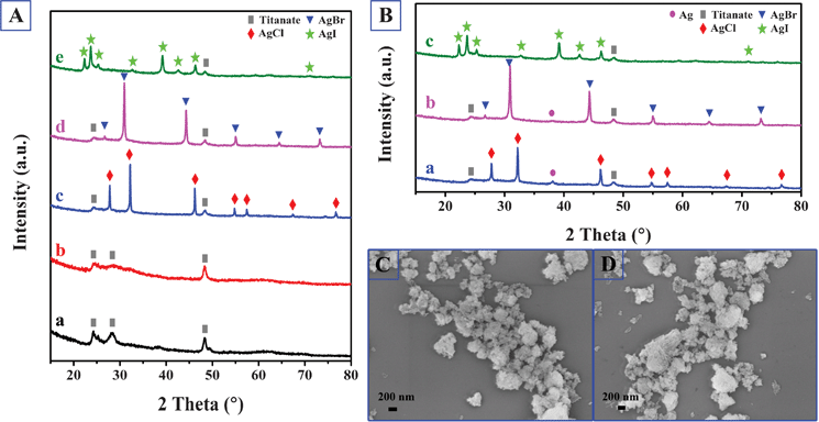 (A) XRD patterns of the AgX decorated titanate nanotubes and their precursors: a. P-TNT; b. Ag-TNT; c. AgCl-TNT; d. AgBr-TNT; e. AgI-TNT. (B) XRD patterns of the dual-functional plasmonic photocatalysts: a. Ag-AgCl-TNT; b. Ag-AgBr-TNT; c. Ag-AgI-TNT. (C) FESEM image of AgBr-TNT. (D) FESEM image of AgI-TNT.