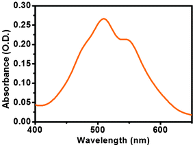 UV-Vis absorption spectrum of the PBI-Y hydrogelator in the gel state at pH 5.00.