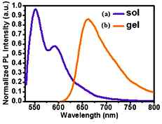 Fluorescence emission spectra of the PBI-Y gelator in two states (a) solution state, (b) gel state as indicated above. The excitation wavelength was kept fixed at 507 nm for both of these states. The concentration of sol state was 2.2 × 10−8 M and in the gel state was 4.37 × 10−3 M.